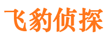 镜湖寻人公司